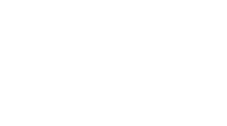 Ryo Asset